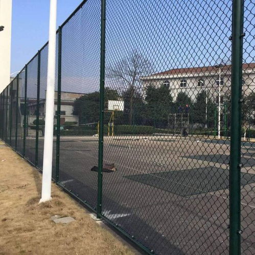 【宿遷焊接式體育場(chǎng)防護(hù)網(wǎng)a圓管柱運(yùn)動(dòng)場(chǎng)隔離網(wǎng)a迅鷹鐵絲網(wǎng)勾花護(hù)欄網(wǎng)生產(chǎn)廠】- 