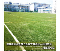 人造草足球場地優(yōu)質(zhì)商家置頂推薦產(chǎn)品