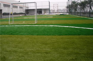 足球用品價格 石家莊足球場人造草皮廠家室內(nèi)足球館安裝工程包含批發(fā)價格 石家莊市