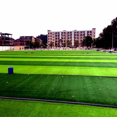 江西撫州批發(fā)銷售人造仿真加密草坪鋪裝便捷、保養(yǎng)方便 學(xué)校足球場專業(yè)人造草坪