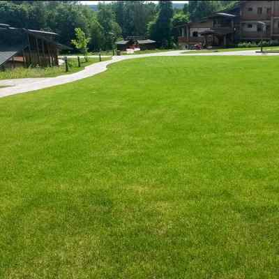 新聞,鞏留足球場人工草坪安裝視頻