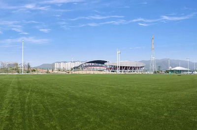 到省運(yùn)場(chǎng)館輕松學(xué)會(huì)愛奇免填充人造草足球場(chǎng)施工技巧