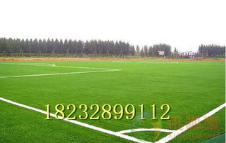 操場人造塑料草坪價格