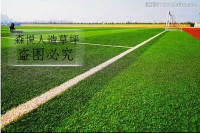 大連人造草坪_大連人造草坪供應商_人造草坪鋪裝