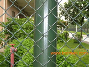 鍍鋅鐵絲網三陽絲網 多圖展示、生產廠家與體育場地鋪裝價格解析