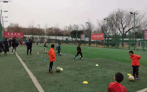 曲江運動場地指南 優質體育場地鋪裝推薦